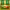 https://res.cloudinary.com/billionhands/image/upload/v1780937914/items/emzfcsd9rk4pquh1ximu.webp-0cover
