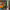 https://res.cloudinary.com/billionhands/image/upload/v1780937998/items/xiqisejwzszi51sotbmn.png-0cover