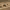 https://res.cloudinary.com/billionhands/image/upload/v1780938098/items/tryhtgvsrvrxfbkn5ikn.webp-0cover