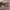 https://res.cloudinary.com/billionhands/image/upload/v1780939796/items/grsvbifhjhr9mh3ssopz.webp-2cover