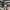 https://res.cloudinary.com/billionhands/image/upload/v1780940288/items/zxwdpcngtzcckrbyfror.jpg-0cover