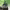https://res.cloudinary.com/billionhands/image/upload/v1780940745/items/ae3ogfebuqkpvmci2ffw.jpg-0cover