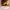 https://res.cloudinary.com/billionhands/image/upload/v1780941066/items/gptyo7slgpjxtsd8lxhm.jpg-1cover