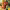 https://res.cloudinary.com/billionhands/image/upload/v1780944140/items/bpocozlhdl4vkpwdvasj.webp-2cover