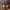 https://res.cloudinary.com/billionhands/image/upload/v1780944217/items/yzerwz4gx8iov76hghhl.jpg-0cover