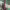 https://res.cloudinary.com/billionhands/image/upload/v1780946955/items/umls2myf1ihrj1tkgp9o.webp-1cover