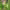 https://res.cloudinary.com/billionhands/image/upload/v1780946960/items/eyvr8n6mdmtidntamaph.webp-1cover