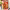 https://res.cloudinary.com/billionhands/image/upload/v1780948176/items/nk7dzvzz6ridjaafsjhf.webp-3cover