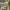 https://res.cloudinary.com/billionhands/image/upload/v1780949369/items/dzs4ljzwk1rkw4clnbxq.jpg-2cover