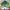 Cestas de verduras saludables online cover