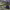 https://res.cloudinary.com/billionhands/image/upload/v1780949858/items/acsofhm7wiynokn7cs4s.webp-3cover