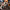 https://res.cloudinary.com/billionhands/image/upload/v1780949970/items/nowynjxnnxujboc0id7i.webp-3cover