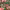 https://res.cloudinary.com/billionhands/image/upload/v1780951187/items/tm76bjta4z0aps4kiizt.webp-1cover