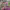 https://res.cloudinary.com/billionhands/image/upload/v1780951192/items/msqylzf2kr4lxbisjf5d.webp-3cover