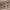 Fresco y del Mar (Online) cover