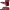 https://res.cloudinary.com/billionhands/image/upload/v1780951822/items/usxwxgwv5c9gbhay8o7i.png-0cover
