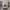 https://res.cloudinary.com/billionhands/image/upload/v1780952282/items/b2betuvrgvmmuezky5gr.webp-1cover