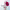 https://res.cloudinary.com/billionhands/image/upload/v1780953472/items/hdak4kbswvfaieoxvvoi.jpg-2cover