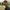 https://res.cloudinary.com/billionhands/image/upload/v1780955201/items/neb29ag8yonel4cppkxu.jpg-2cover