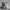 https://res.cloudinary.com/billionhands/image/upload/v1780955505/items/kgxfdftiwaazpoztiep4.jpg-3cover
