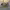 https://res.cloudinary.com/billionhands/image/upload/v1780956188/items/rbcpwtoza226kdxcghaa.jpg-3cover