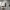 https://res.cloudinary.com/billionhands/image/upload/v1780956220/items/nmzew6hwzrhvlpwpyfuk.webp-3cover