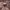 https://res.cloudinary.com/billionhands/image/upload/v1780958271/items/r16nb1jxpf6rm3frpd8r.jpg-1cover