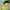 https://res.cloudinary.com/billionhands/image/upload/v1780958607/items/owxoatuunkse3tdcpdty.jpg-3cover