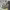 https://res.cloudinary.com/billionhands/image/upload/v1780958615/items/k24zxx3gy0qgrvbk4gpu.webp-2cover