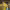 https://res.cloudinary.com/billionhands/image/upload/v1780958628/items/rerauj9r7cfn4pjjbgeo.jpg-1cover