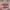 https://res.cloudinary.com/billionhands/image/upload/v1780959006/items/gqlep9llqj09k8nq18o7.jpg-3cover