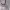https://res.cloudinary.com/billionhands/image/upload/v1780959062/items/xbo8nyuwluvfsxe2d2pg.jpg-2cover