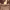 https://res.cloudinary.com/billionhands/image/upload/v1780962538/items/mrl9yddom4yb9gmbredk.jpg-1cover