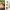 https://res.cloudinary.com/billionhands/image/upload/v1780962549/items/veuwjkfadvqsskxgcmev.jpg-2cover