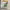 https://res.cloudinary.com/billionhands/image/upload/v1780962593/items/llefdeegv0a6q51xq9hd.webp-1cover