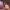 I Would Die 4 U cover