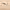 https://res.cloudinary.com/billionhands/image/upload/v1780966856/items/qv9nampfgrs4qjt2rin6.jpg-0cover