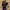 https://res.cloudinary.com/billionhands/image/upload/v1780969368/items/sobncmpiiurwbnaz50iu.webp-2cover