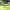 https://res.cloudinary.com/billionhands/image/upload/v1780969995/items/wqeeb7vgdji024dvuq8a.jpg-3cover