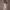 https://res.cloudinary.com/billionhands/image/upload/v1780970355/items/sejbov936qommxumsqvy.webp-2cover