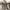 https://res.cloudinary.com/billionhands/image/upload/v1780971727/items/bxws2cckcp6hnuag0fnn.webp-2cover