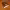 https://res.cloudinary.com/billionhands/image/upload/v1780973887/items/hx0p42idptcg8bpldiiq.jpg-3cover