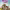 https://res.cloudinary.com/billionhands/image/upload/v1780978416/items/xyt2bdvocyqobhscvyp0.webp-2cover