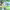 https://res.cloudinary.com/billionhands/image/upload/v1780979527/items/aac1ronw2j2pwfndshlq.jpg-0cover