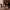 https://res.cloudinary.com/billionhands/image/upload/v1780979985/items/h5lnfdcnglndptbphqn1.jpg-1cover