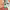 https://res.cloudinary.com/billionhands/image/upload/v1780980686/items/kbfvaznkem9wsnnk1bea.webp-3cover