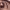 https://res.cloudinary.com/billionhands/image/upload/v1780984130/items/itvchjcrl5a1ysr8ykgq.jpg-0cover
