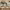 https://res.cloudinary.com/billionhands/image/upload/v1780984140/items/k6hbla5mx5uahoknebp9.avif-0cover