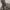 https://res.cloudinary.com/billionhands/image/upload/v1780984646/items/ujps6humkvrdsfamtfdu.jpg-0cover