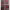https://res.cloudinary.com/billionhands/image/upload/v1780985107/items/ujckpx0hbvlno7faggdx.webp-2cover